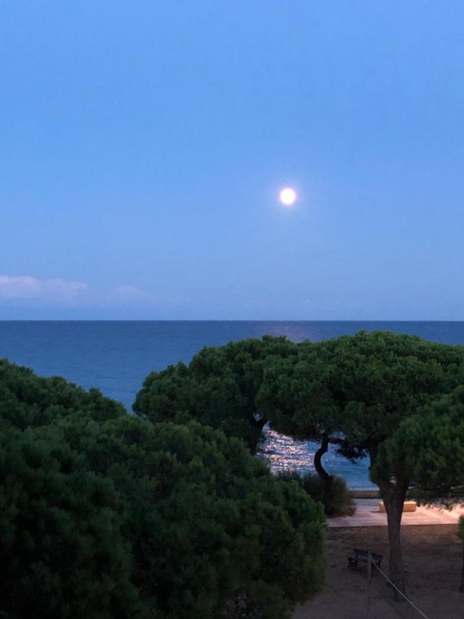 Apartment Direkt Am Strand Blanes Kültér fotó